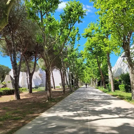Appartement 2 Pièces - Un Petit Coin De Paradis